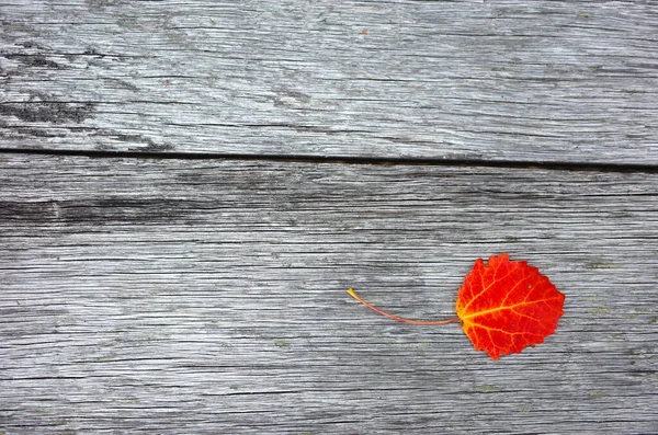 Autumn Red Leaf Old Wooden Background Copy Space — Stock Photo, Image
