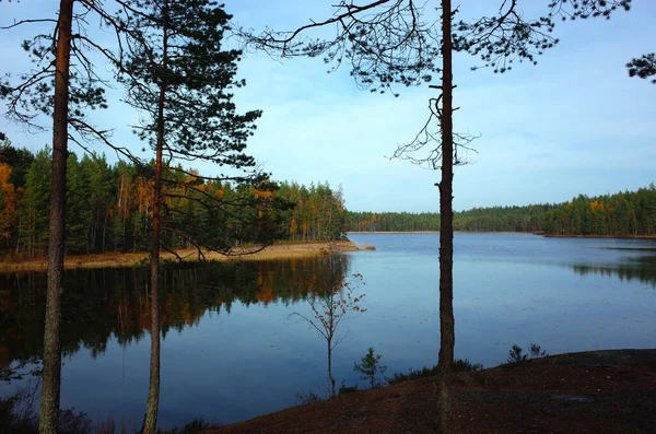 Natur Von Schweden Herbst Ruhiger See Bredatjarnen Mit Waldreflexion Friedliches — Stockfoto