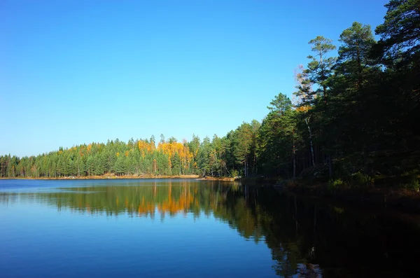 秋のスウェーデンの自然 穏やかな湖森の反射とストラAbbortjarnen 平和的な屋外イメージ — ストック写真