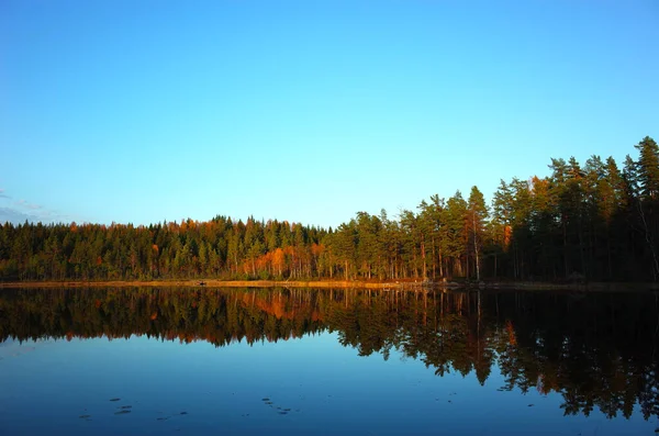 秋のスウェーデンの自然 森林反射のある穏やかな湖コルペン 静かな屋外イメージ 10月のハイキングコースに沿って Bruksleden — ストック写真