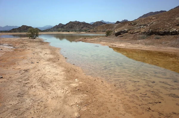 Arab Félszigeti Táj Repedt Sárral Pocsolyával Száraz Hegyekkel Fujairah Ban — Stock Fotó