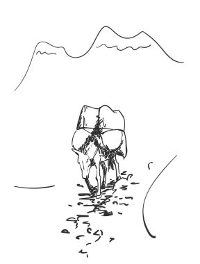 Sırtında yükle dağlarda yürüyen katır Himalayalar 'da yaygın olarak kullanılan bir kargo taşımacılığıdır bu.