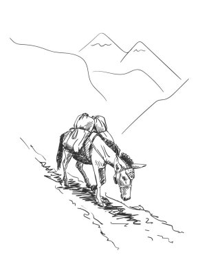Sırtında yükle dağlarda yürüyen katır Himalayalar 'da yaygın olarak kullanılan bir kargo taşımacılığıdır bu.