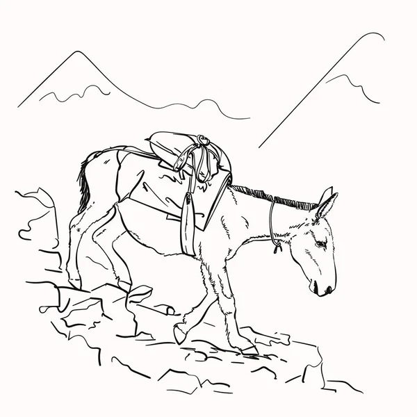 Mule Marche Sur Les Montagnes Avec Une Charge Sur Dos — Image vectorielle