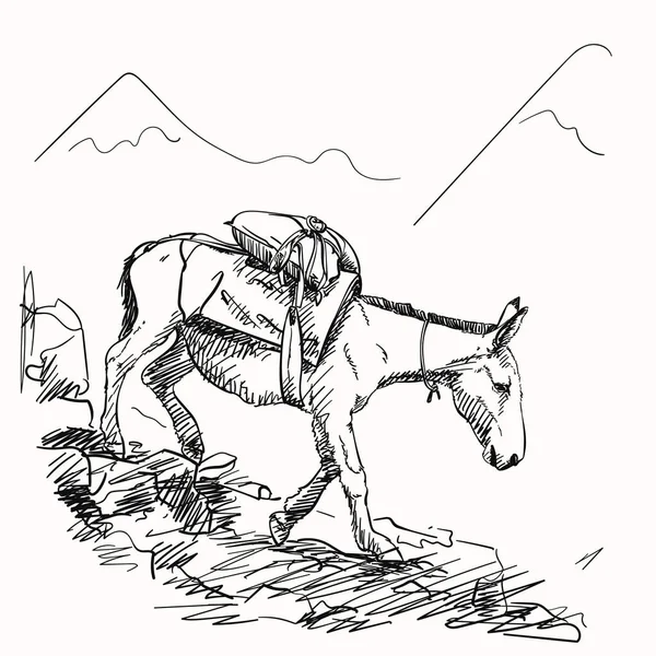 Mula Caminando Las Montañas Con Carga Espalda Este Tipo Transporte — Archivo Imágenes Vectoriales