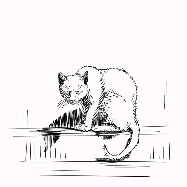 惊心动魄地坐着的毛茸茸的猫的素描 手绘病媒图解 — 图库矢量图片