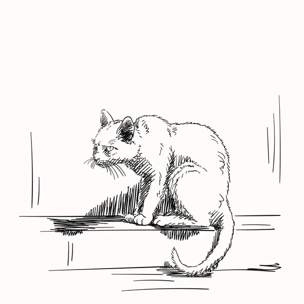 Skizze Einer Gruselig Sitzenden Skrupellosen Katze Die Verrückt Aussieht Von — Stockvektor