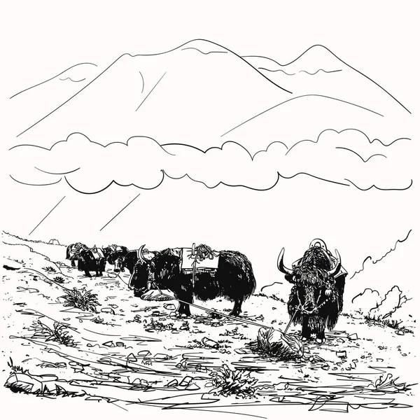 Vektorový Náčrt Černého Karavanu Klidu Přivázaného Laně Kameni Himálajské Hory — Stockový vektor