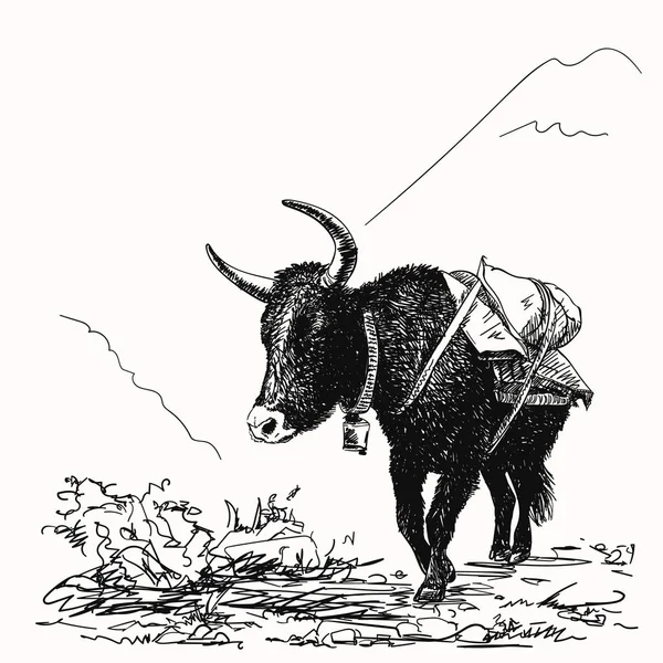 Bosquejo Vectorial Yak Vaca Negra Las Montañas Del Himalaya Ilustración — Vector de stock