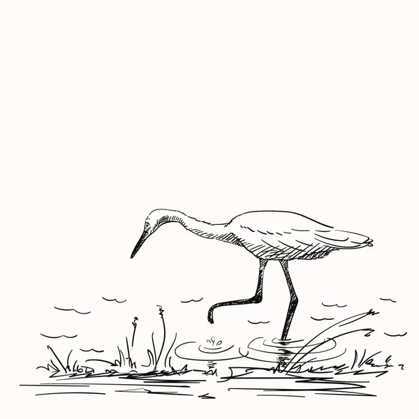 Croquis Chasse Héron Blanc Illustration Vectorielle Dessinée Main — Image vectorielle