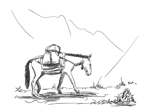 Mule Marchant Dans Les Montagnes Avec Charge Sur Dos Type — Image vectorielle