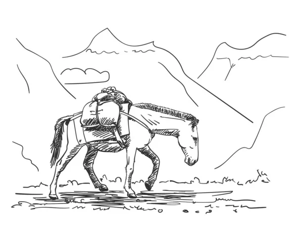 背中に荷を背負った山の中を歩くラバ ヒマラヤで広く使用されている貨物輸送のこのタイプ ベクトルスケッチ 手描きイラスト — ストックベクタ