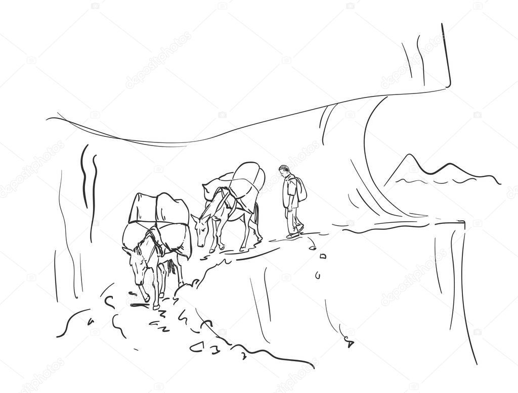 Two loaded mules and herder walking on dangerous path in mountains, This type of cargo transport widely used in himalayas, Vector sketch, Hand drawn linear illustration