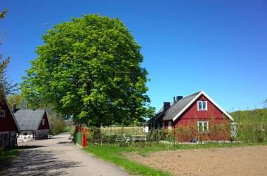 Helsingborg, İsveç - 5 Mayıs 2018: Güneşli baharda Helsingborg 'un kuzeyindeki büyük kestane ağacının altındaki Ecokidz anaokulu tipik kırmızı İsveç evi manzarası