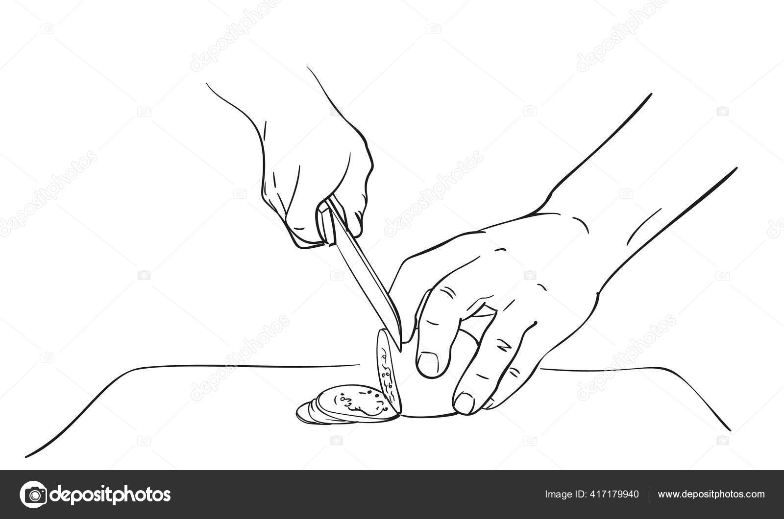 https://st4.depositphotos.com/1004472/41717/v/1600/depositphotos_417179940-stock-illustration-close-hands-cutting-vegetable-knife.jpg