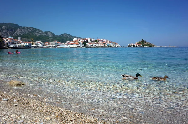 希腊萨莫斯岛科卡里 2018年5月15日 在水晶清澈的水面上漂浮的鸭子 背景是科卡里渔村海滨 萨莫斯岛是爱琴海受欢迎的旅游胜地 — 图库照片