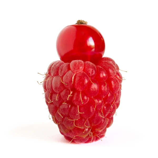 Framboise Mûre Avec Croustillant Rouge Sur Dessus Isolé Sur Fond — Photo