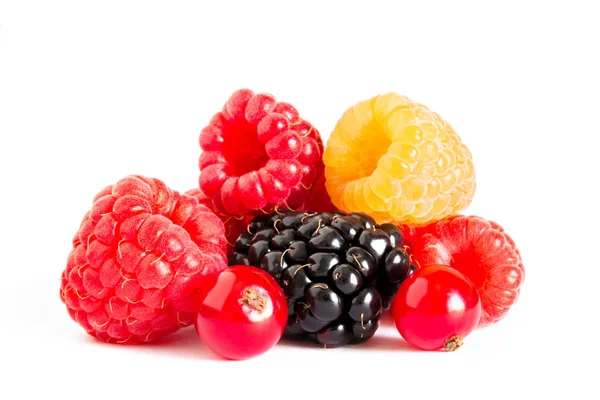 白色背景上的一大堆新鲜浆果。成熟的甜莓, 黑莓, 葡萄干 — 图库照片