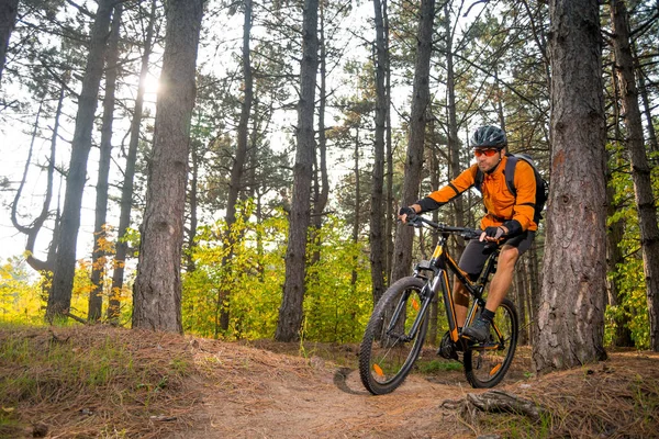明るい日の冒険と旅行の概念に照らされて美しい妖精松林の道でマウンテン バイクに乗るオレンジ色の自転車 — ストック写真