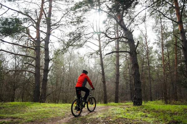 Fietser Rijden Mountain Bike Mist Trail Het Prachtige Dennenbos Avontuur — Stockfoto