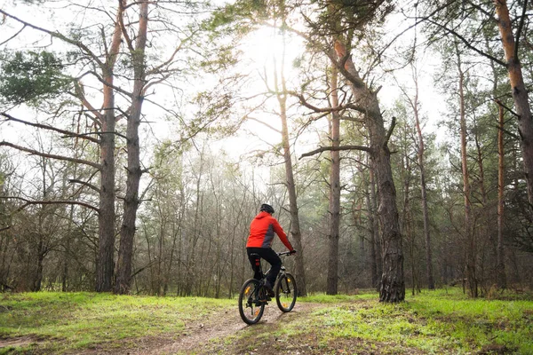 Ciclista Andar Bicicleta Montanha Trilha Bela Floresta Pinheiros Sob Sol — Fotografia de Stock