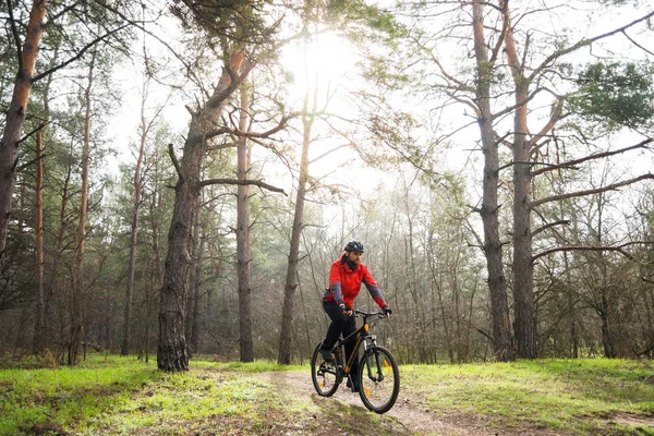 Cyclist Riding the Mountain Bike on the Trail in the Beautiful Pine Forest under the Sun. Adventure and Travel Concept.