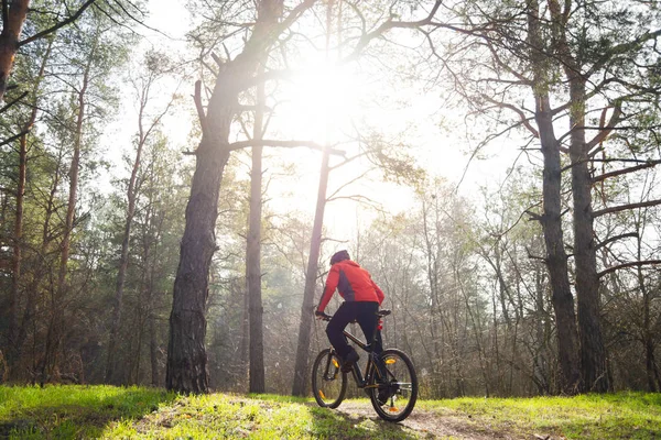 Ciclista Montar Bicicleta Montaña Sendero Hermoso Bosque Pinos Bajo Sol —  Fotos de Stock