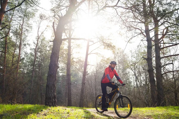 Ciclista Montar Bicicleta Montaña Sendero Hermoso Bosque Pinos Bajo Sol —  Fotos de Stock