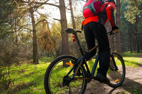 骑自行车骑山地自行车在太阳下美丽的松树林的小道上骑山地自行车 — 图库照片