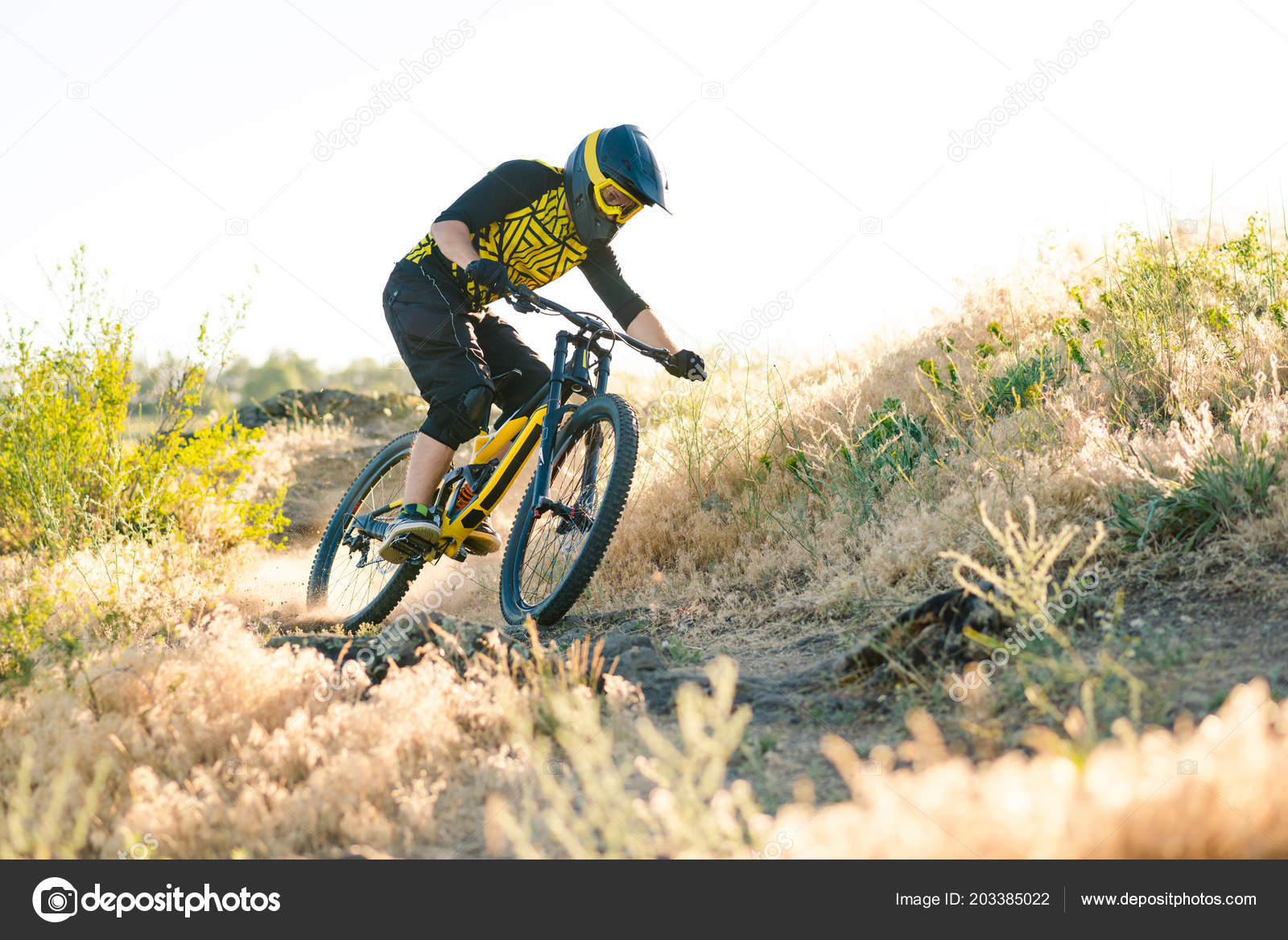 Professional Cyclist Riding Downhill Mountain Bike Summer Rocky