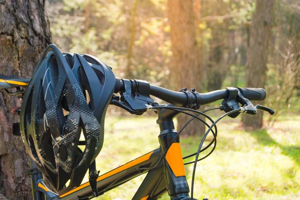 Bicicleta Montaña Sendero Verano Hermoso Bosque Pinos Lit Sun Concepto — Foto de Stock