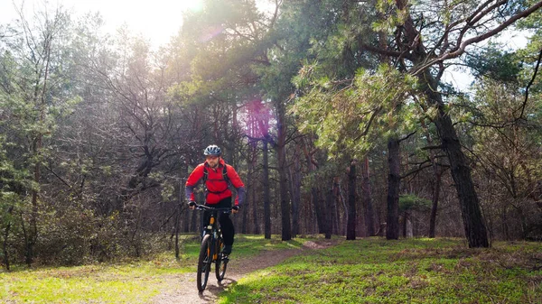 Cyklist Ridning Mountain Bike Stien Den Smukke Fyrreskov Solen Eventyr - Stock-foto