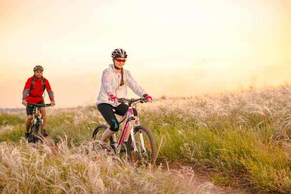 年轻的情侣骑山自行车在美丽的领域羽毛草在日落。探险和家庭旅行. — 图库照片
