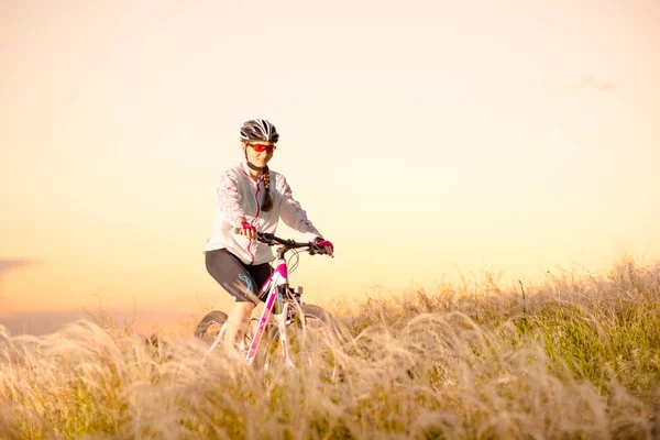 Junge Frau auf Mountainbikes im schönen Feld von Federgras bei Sonnenuntergang. Abenteuer und Reisen. — Stockfoto