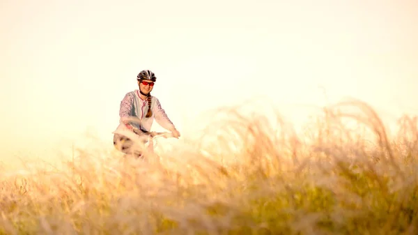 Giovane donna a cavallo mountain bike nel bellissimo campo di erba piuma al tramonto. Avventura e viaggi . — Foto Stock