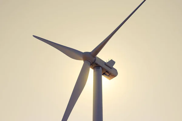 夕方のスカイバクグラウンドの明るい太陽の光の風力発電機タービン。グリーン再生可能エネルギーの概念. — ストック写真