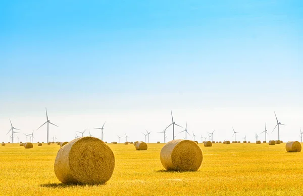 Bales de paja en el campo amarillo brillante bajo el cielo azul. Turbinas generadoras de viento en el fondo — Foto de Stock