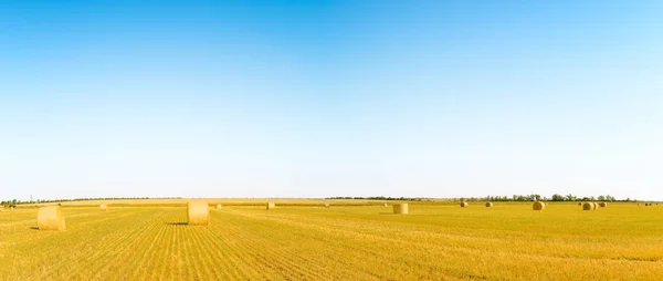 Balas de paja en el brillante campo amarillo bajo el cielo azul . —  Fotos de Stock