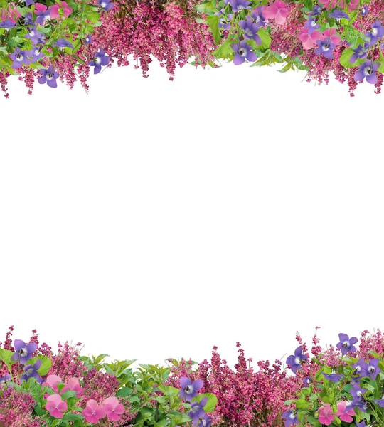 Pretty Border Frame Spring Violets Pansies Coral Bells — Stock Photo, Image