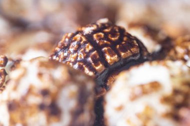 Patlamış mısırların arkaplanı. Tatlı çikolatayla tatlandırılmış.