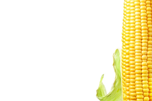 Single Ear Corn Isolated White Background — Stock Photo, Image