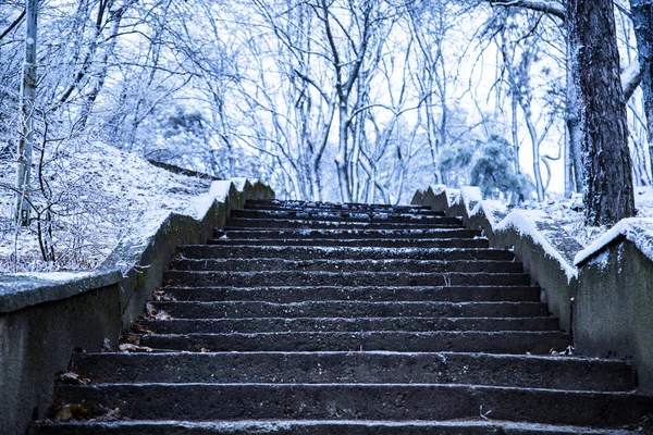 Escaliers Enneigés Dans Parc Hiver — Photo