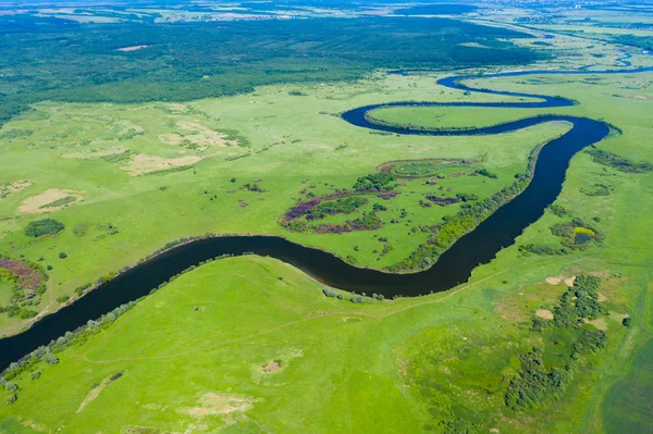 Luchtfoto van weelderige wetlands aan de kust — Stockfoto