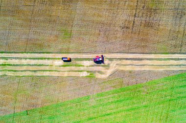 Tarlada çalışan hasat makinesi. Buğday tarlasını biçen tarım makinesini birleştirin..