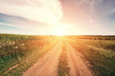 Gün batımı kırsal çiftlik çayırı ufku görünümü