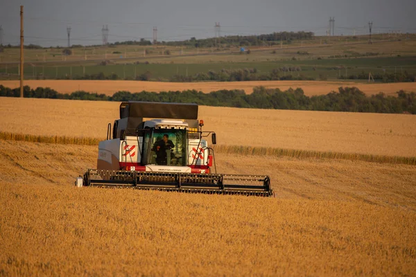 Saratov, Ryssland - 10 juli 2020: Kombinera skördare på jobbet som skördar ett vetefält — Stockfoto