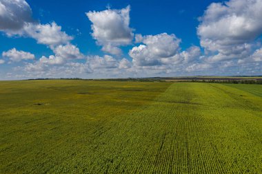 Tarım arazisi. Tarlalar ve gökyüzü. Havadan