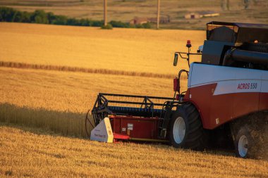 Saratov, RUSSIA - 10 Temmuz 2020: Buğday tarlası hasat eden hasat işçisi 