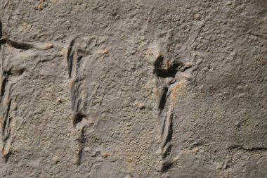 Eski bir yüzeyin ayrıntıları. Pul pul dökülmüş boya ve askeri teçhizat üzerinde perçin. Askeri geçmiş