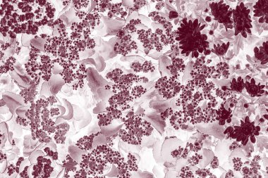 Renkli çiçeklerin arkaplan resmi